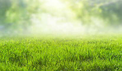 green grass natural landscape, blurred background