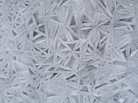 frozen geometric