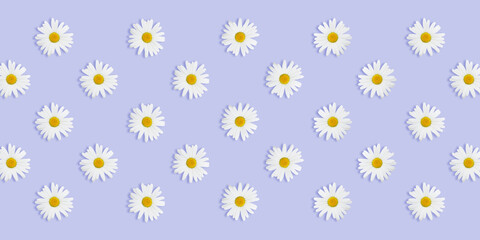 Daisies background on blue, lots of flowers, space for text, summer concept big size