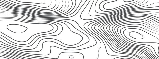 White height of the topographic contour in lines and contours. Topographic map and landscape texture background. Topography lines and circles background. Abstract white topography vector