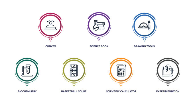 biology technology outline icons with infographic template. thin line icons such as convex, science book, drawing tools, biochemistry, basketball court, scientific calculator, experimentation