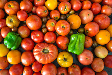 Background of fresh red, yellow tomatos