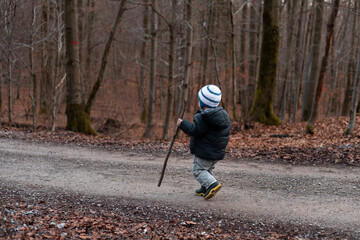 Young child in warm clothes hiking alone on a path in a brown late autumn forest with a wooden...