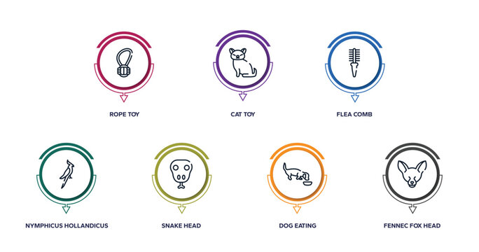 fauna outline icons with infographic template. thin line icons such as rope toy, cat toy, flea comb, nymphicus hollandicus, snake head, dog eating, fennec fox head vector.