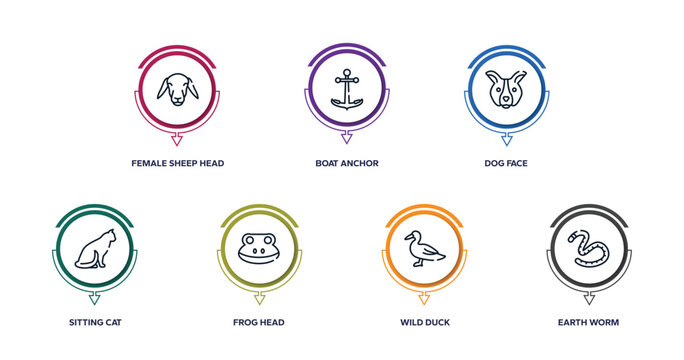 free animals outline icons with infographic template. thin line icons such as female sheep head, boat anchor, dog face, sitting cat, frog head, wild duck, earth worm vector.