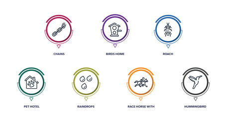 nature lineal pack outline icons with infographic template. thin line icons such as chains, birds home, roach, pet hotel, raindrops, race horse with jockey, hummingbird vector.