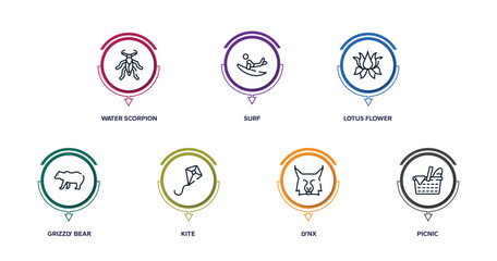 spring outline icons with infographic template. thin line icons such as water scorpion, surf, lotus flower, grizzly bear, kite, lynx, picnic vector.