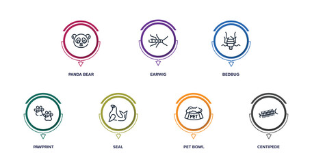 insects outline icons with infographic template. thin line icons such as panda bear, earwig, bedbug, pawprint, seal, pet bowl, centipede vector.