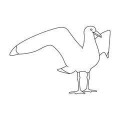 Bird gull vector icon.Outline vector icon isolated on white background bird gull.