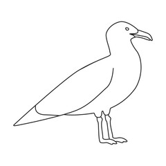 Bird gull vector icon.Outline vector icon isolated on white background bird gull.