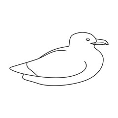 Bird gull vector icon.Outline vector icon isolated on white background bird gull.