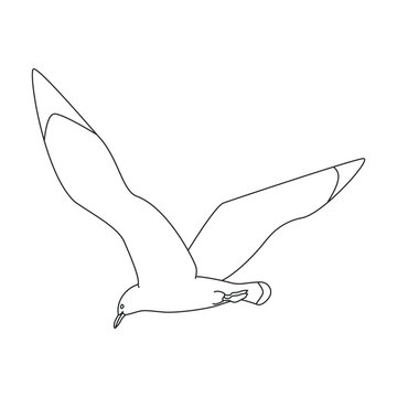 recommend clip art: Bird gull vector icon.Outline vector icon isolated on white background bird gull.