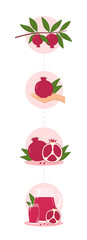 The path of the pomegranate from the branch to the table. Set of 4 pictures. Fresh pomegranate juice. Illustration in a flat style.