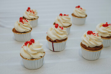 cupcakes with cream