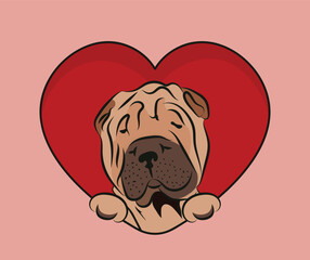 Shar Pei dog head hanging with paws in a big Valentine's day heart. Love heart with pet head and heart and footprint. Dog face Holding Pink Heart Cartoon Icon. St Valentine's day for dog funs.