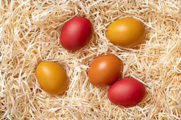 Fototapeta na wymiar Colorful Easter eggs in a nest of wood wool, from above. Paschal eggs, hard boiled colorful dyed chicken eggs, in a soft bed of wood slivers, cut from logs, used for Easter egg hunt during Eastertide.