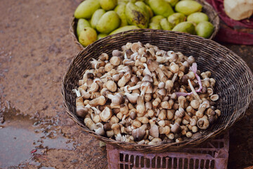 mushrooms in a basket,  traditional market