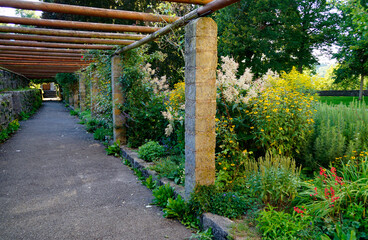 romantic summer garden with lush greenery in Rothenburg on the Tauber, Bavaria, Germany	