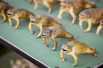 Dried frogs on display in a traditional market