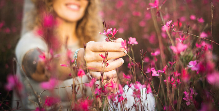 Close up of woman hands touching spring blossom flower in the meadow enjoying nature and feeling. Female people copy space natural lifestyle concept. Welcome spring and outdoor leisure activity