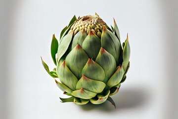Fototapeta premium Special One natural Artichoke with white