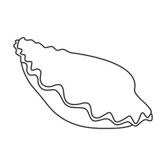 Shell sea vector outline icon. Vector illustration sea shell on white background. Isolated outline illustration icon of seashell.