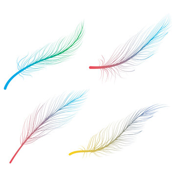 Hand drawn bird feathers linear doodle art vector illustration
