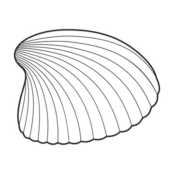 recommend clip art: Shell sea vector outline icon. Vector illustration sea shell on white background. Isolated outline illustration icon of seashell.