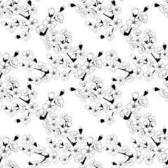 Cherry blossom branch black and white seamless pattern. Design for fabric, wrapping paper, clothing, wallpaper, postcard, banner. Vector illustration