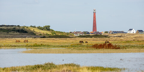 Rundreise durch die Niederlande und Friesland