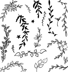 Doodle floral elements. Hand drawn vector branches and leaves. Vintage botanical illustrations.