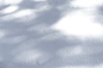 雪面に映る木の影　雪の背景素材