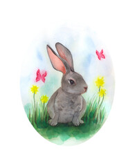 Easter grey bunny. Watercolor illustration.