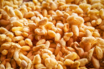 silkworm yellow and white for textiles