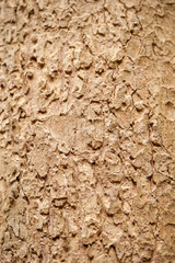 texture of the old wall