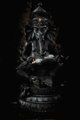 black and white dragon