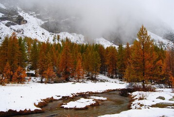 Foliage tra autunno e inverso in montagna