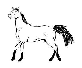 Fototapeta na wymiar Horse running, black outline vector illustration design 