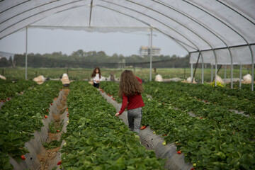 person in a greenhouse