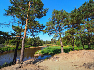 Meshera National Park river Pra. Ryazan region.