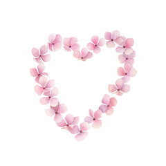 Watercolor print  with pink hydrangea heart. Watercolour hortensia. Floral design on white background. Hand drawn isolated  illustration