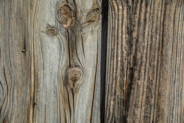 Wooden plank of a door aged by the time of a rough and with large knots of wood