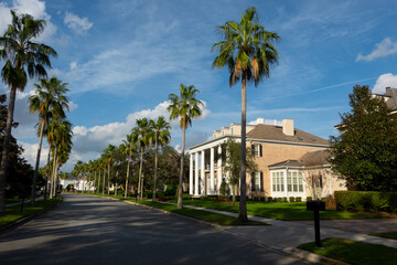 Fototapeta na wymiar Palm tree-lined street in an upscale, residential neighborhood with beautiful, large houses and a perfect blue sky in Florida