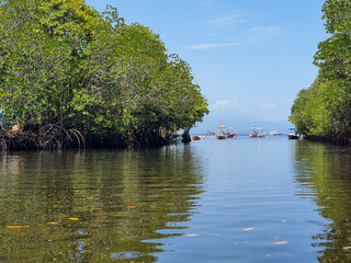 The way into the sea trough the amazing mangrove forest of Nusa Lamgongan islan, Bali, Indonesia. Mangrove boat ride of bali