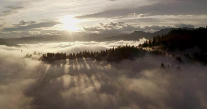 Aerial crane shot of a golden sunrise above the clouds Swiss forest