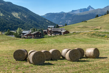 L' été à Molines en Queyras , meules de foin au hameau du Rua . © jeanmichel deborde