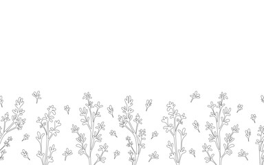 Seamless horizontal pattern with hand drawn thyme leaves and branches.
