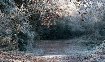 path