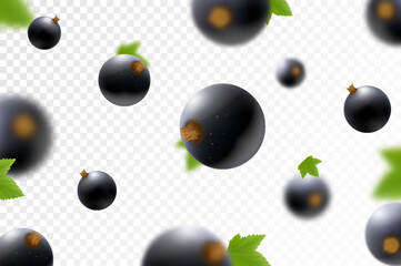 Blackcurrant background. Flying currant with green leaves on transparent background. Falling berries from different angles. Focused and blurry objects. Realistic 3d vector illustration