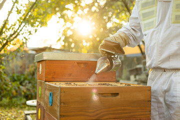 Bee smoker with apiarist with professional equipment working taking care in his apiary on the bee...